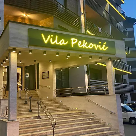 Pino Bianco 1 - Pekovic Zlatibor