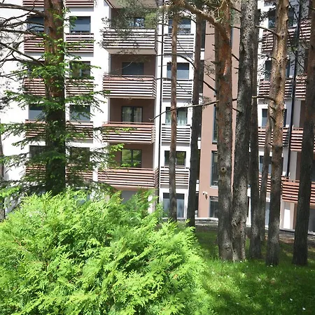 Pino Bianco 1 - Pekovic Zlatibor