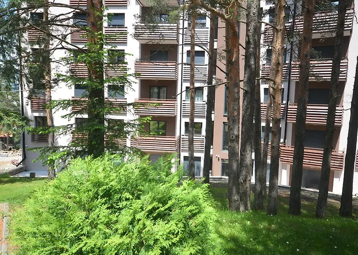 Pino Bianco 1 - Pekovic 兹拉蒂博尔